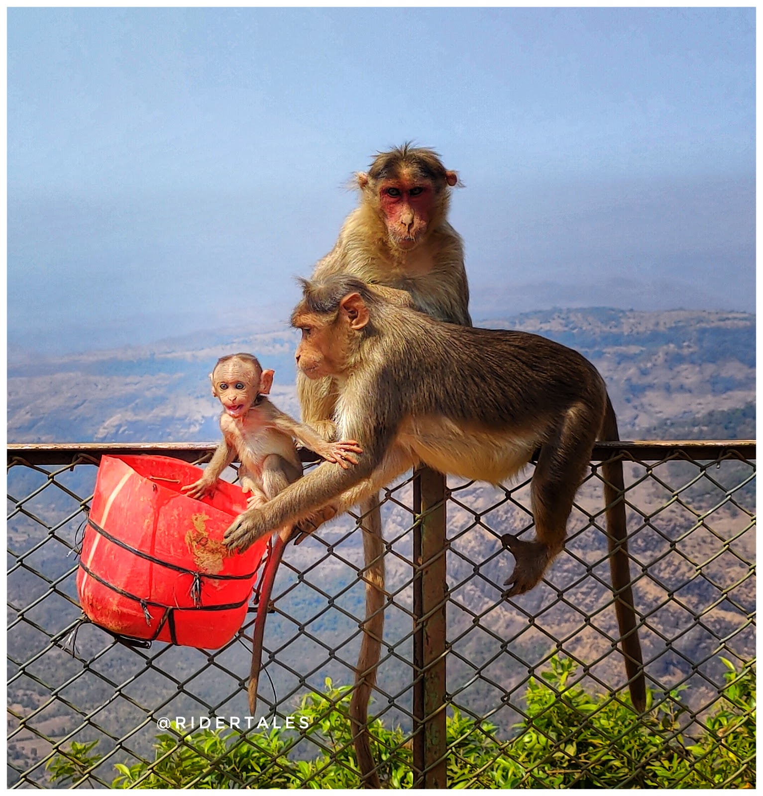 Tiger Point Khandala