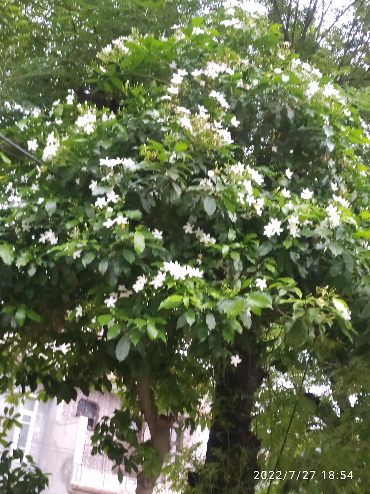 Shaheed Bhagat Singh Memorial Park