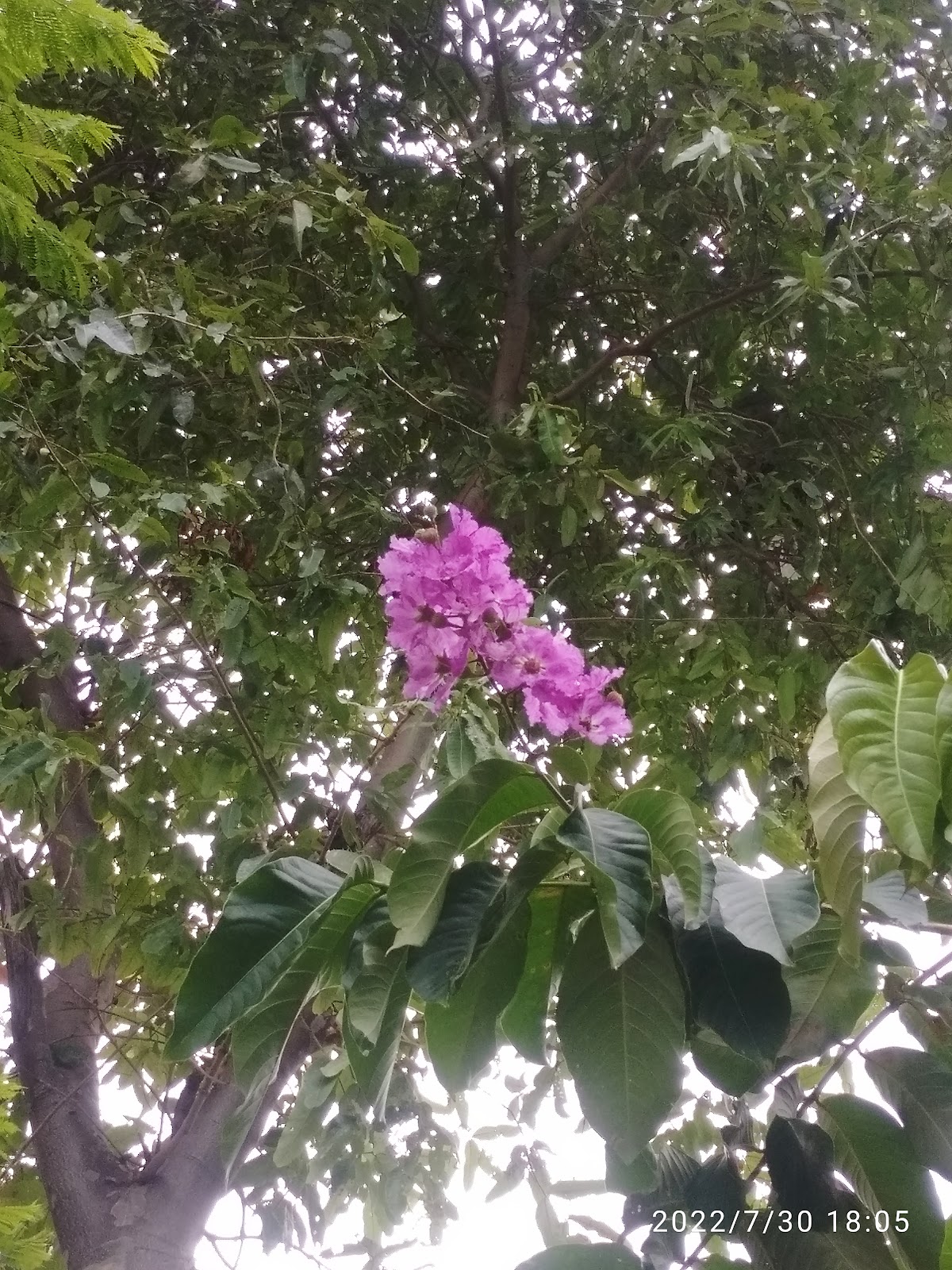 Shaheed Bhagat Singh Memorial Park