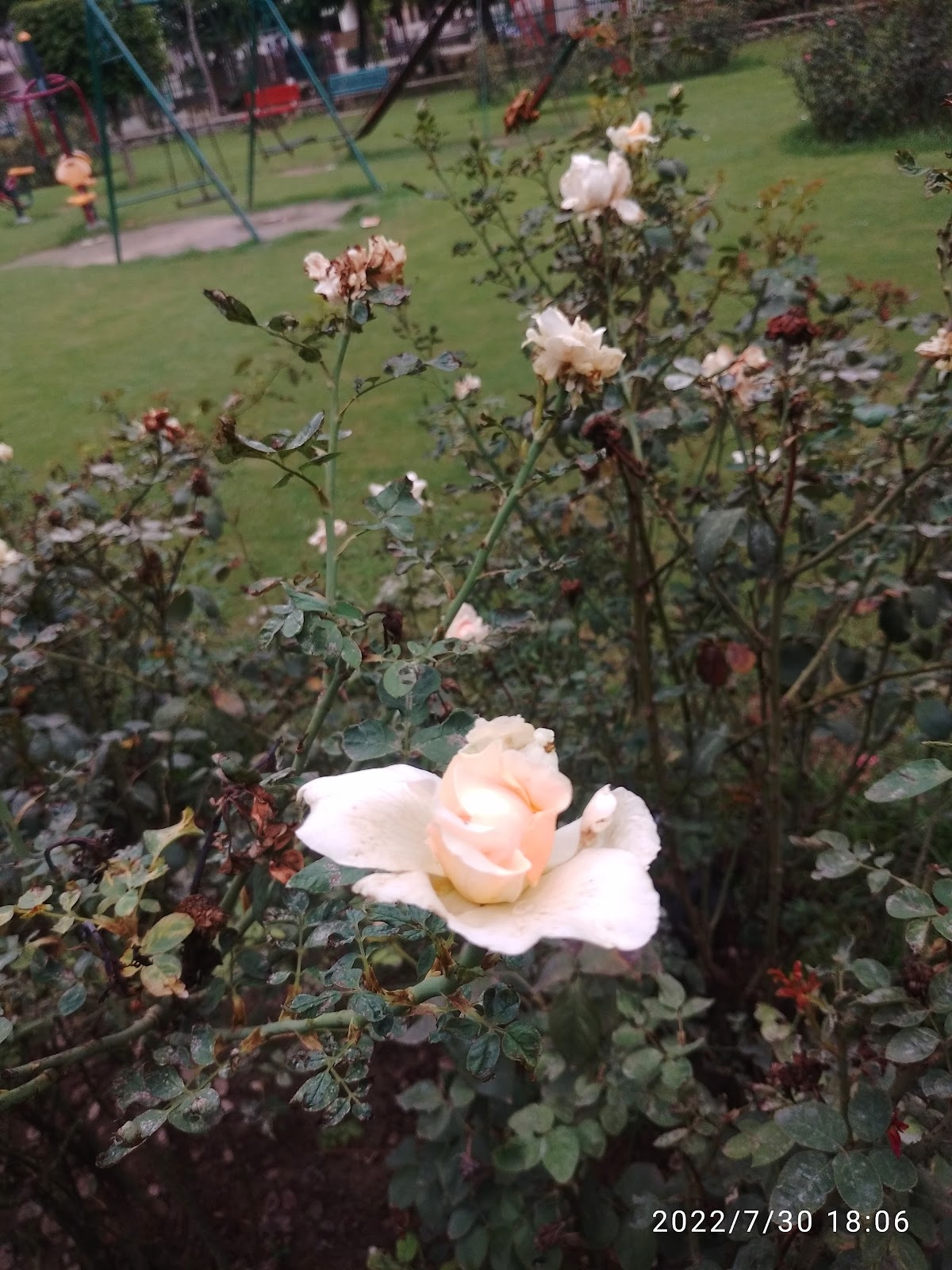 Shaheed Bhagat Singh Memorial Park