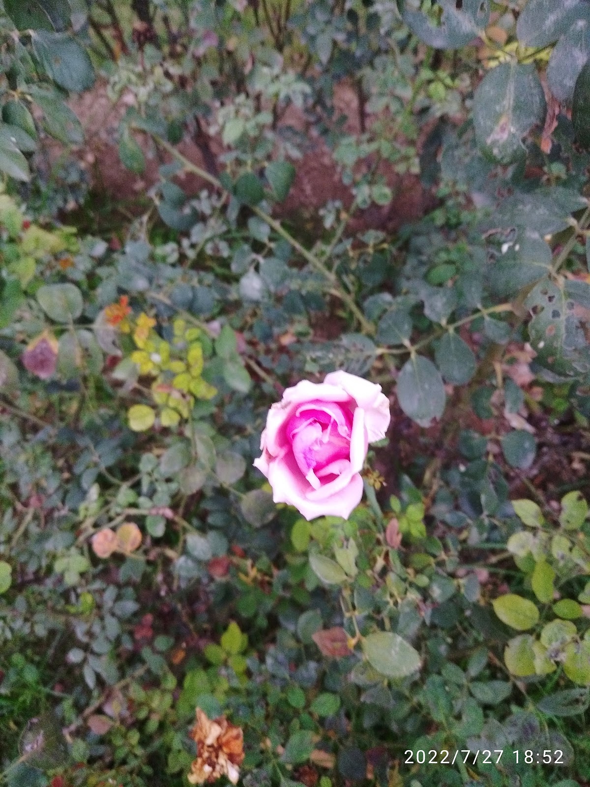 Shaheed Bhagat Singh Memorial Park