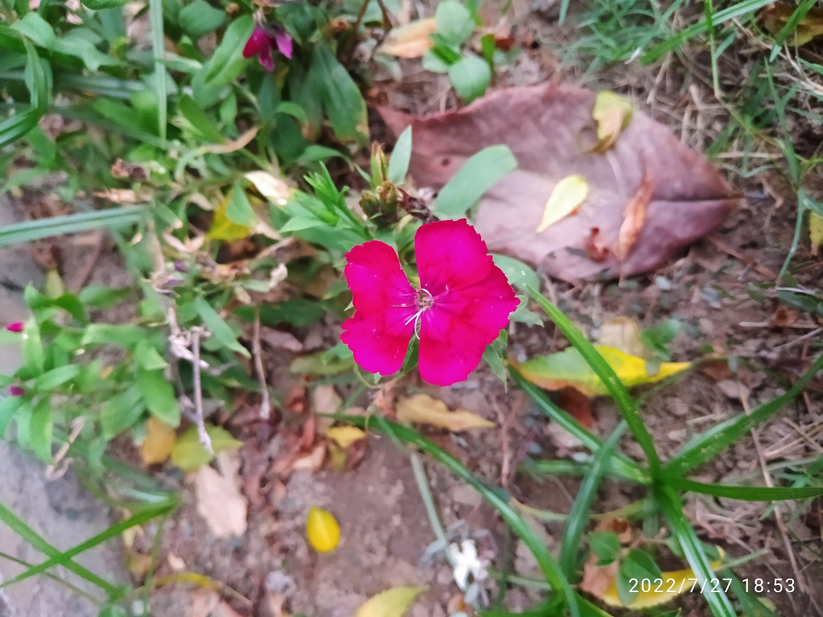 Shaheed Bhagat Singh Memorial Park