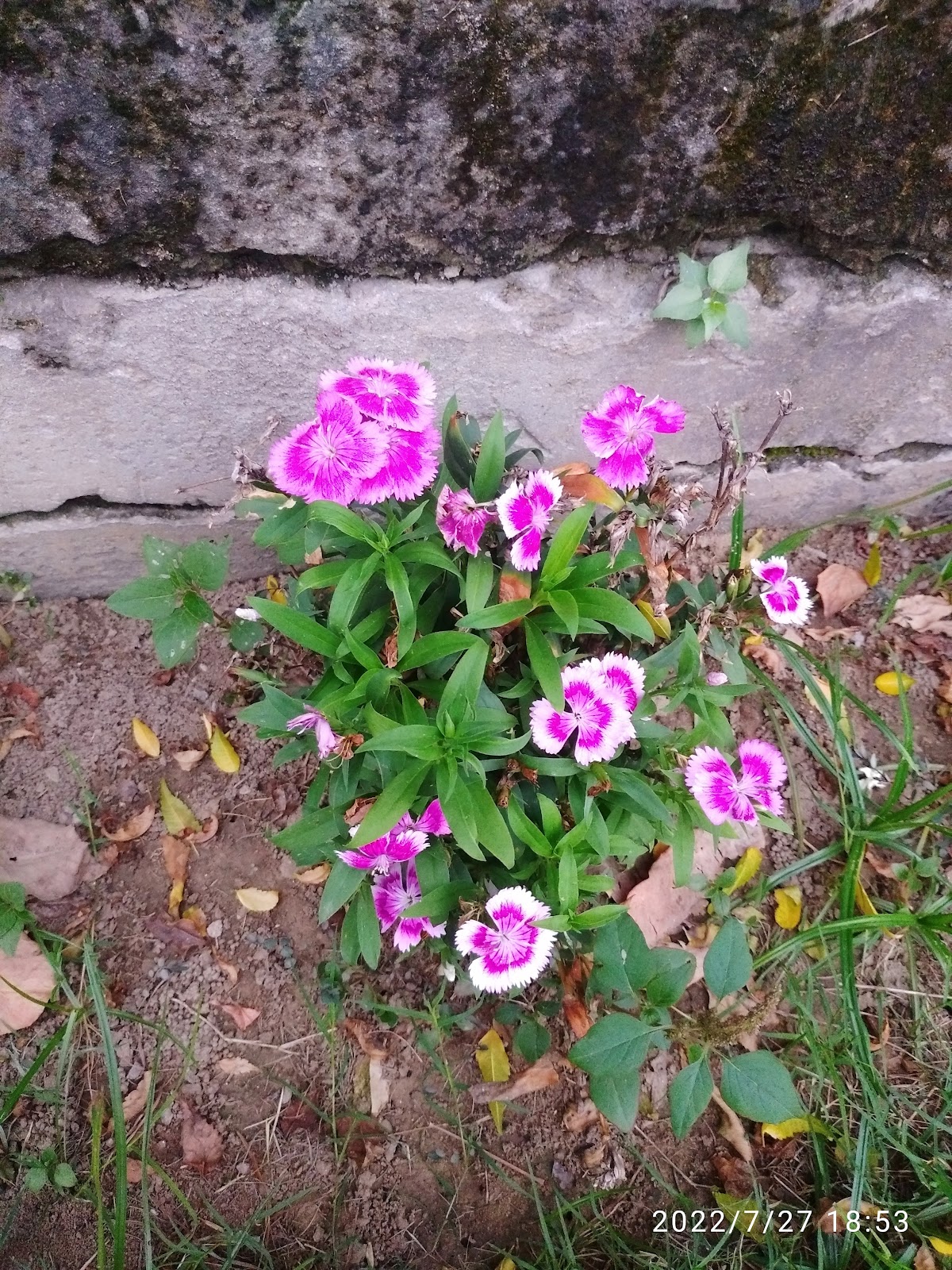 Shaheed Bhagat Singh Memorial Park