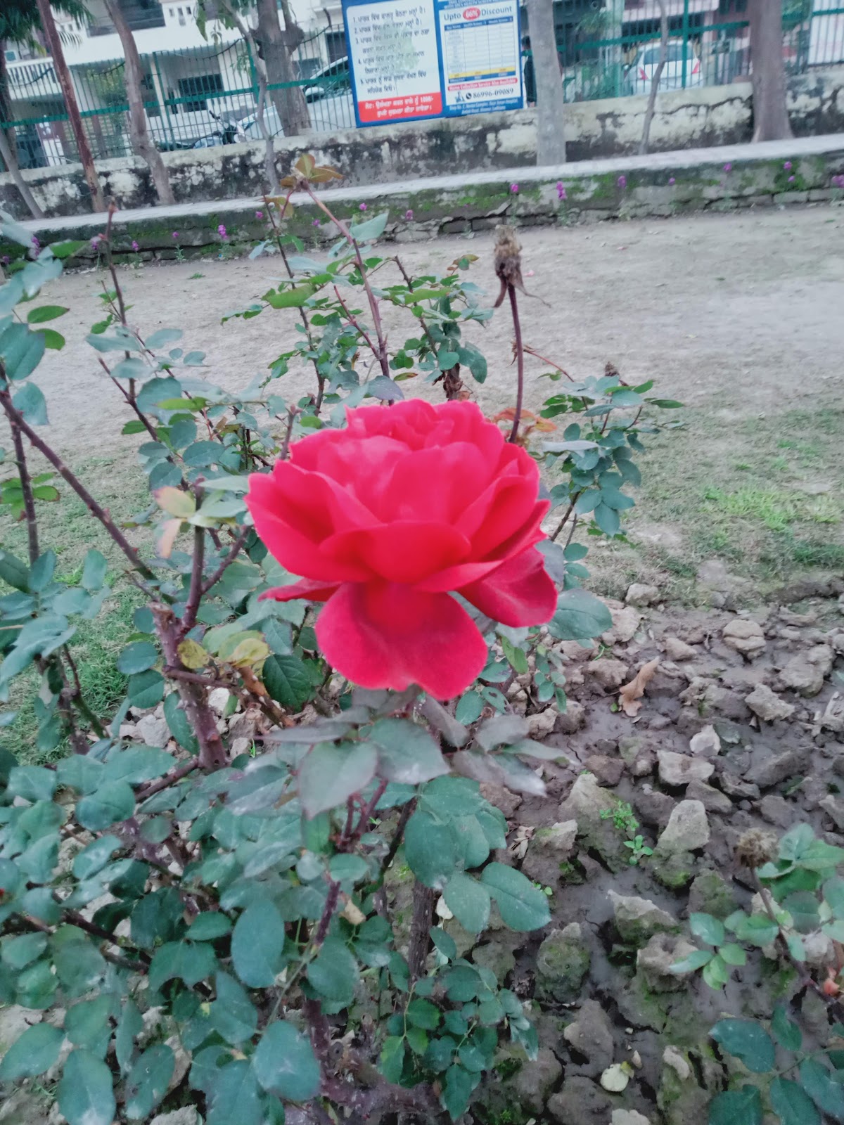 Shaheed Bhagat Singh Memorial Park