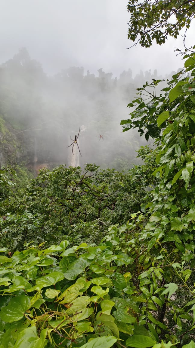 Bhagwan Baba Waterfall