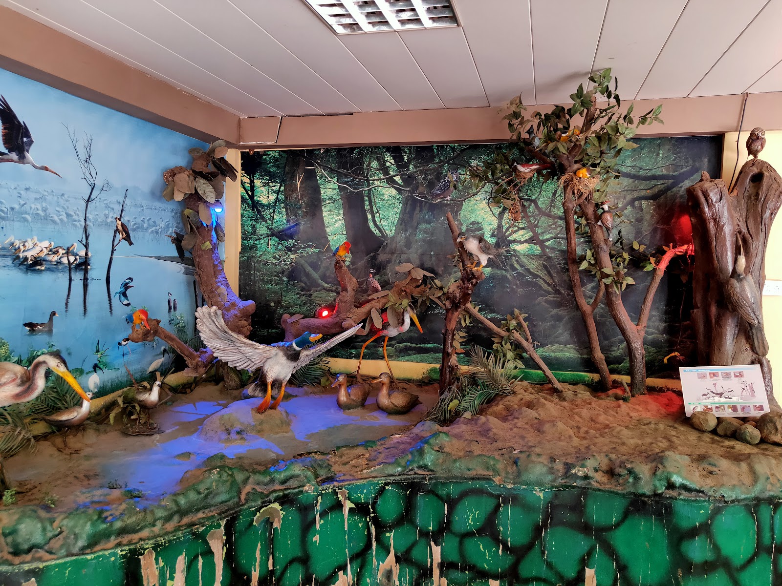 Nature Interpretation Centre