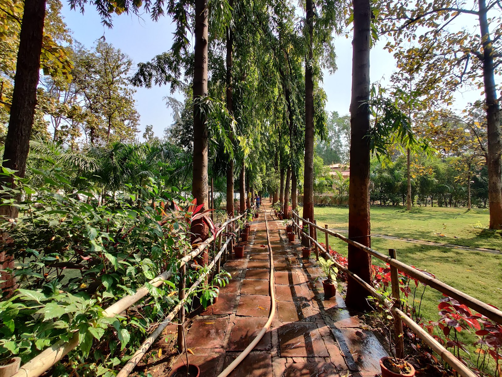 Silvassa Tribal Museum