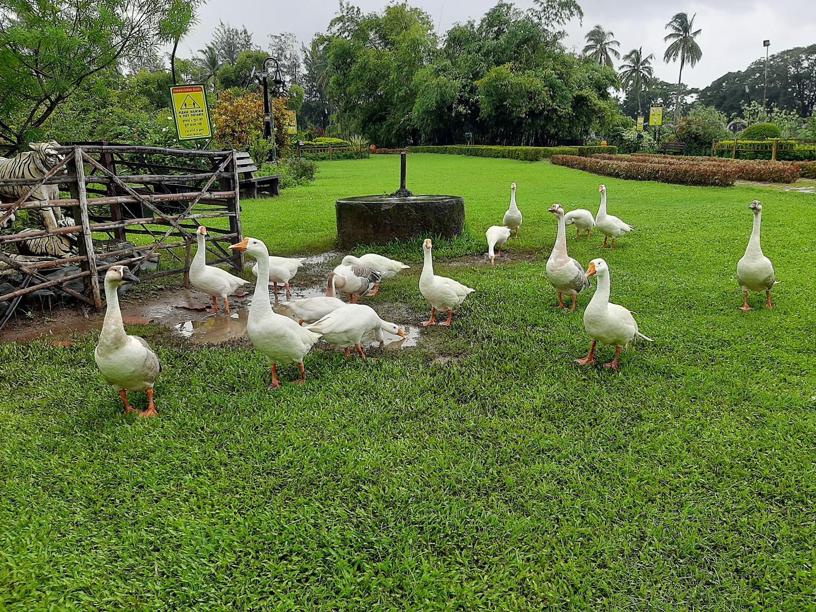 Vanganga Lake Garden