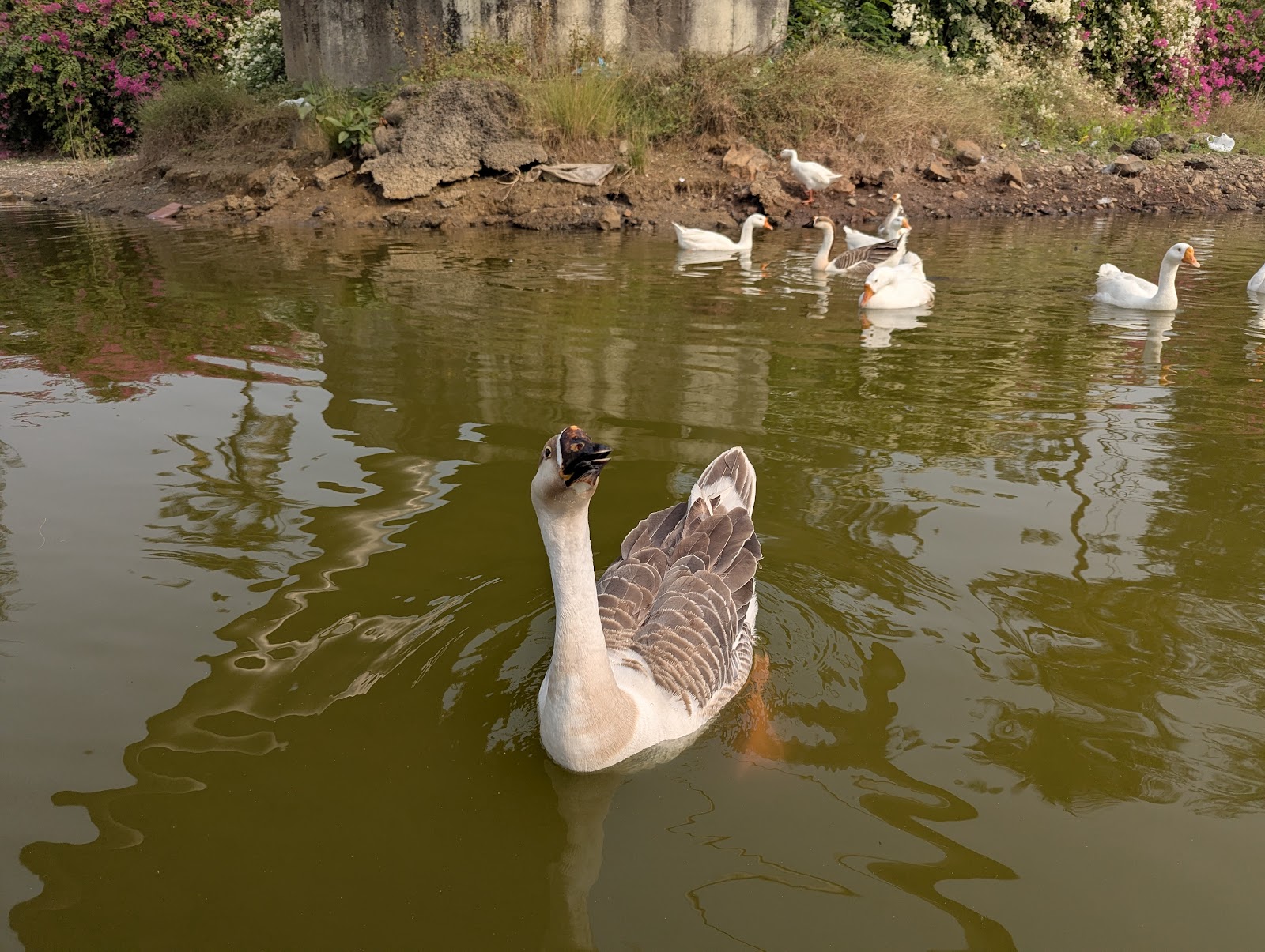 Vanganga Lake Garden