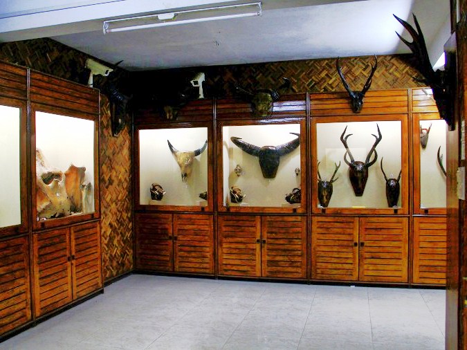 Khawzawl Community Museum