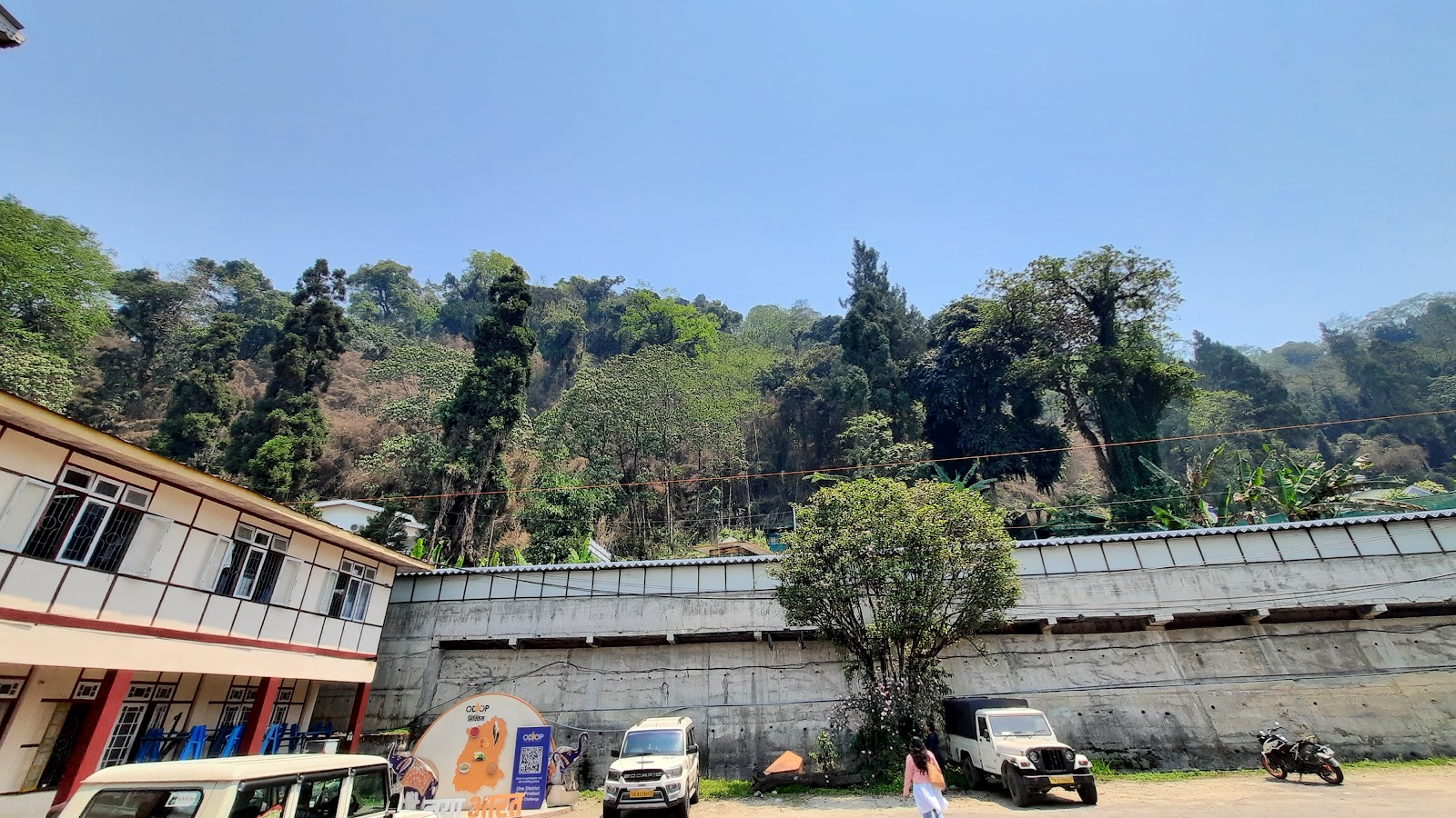 Local Handicraft Market Pelling