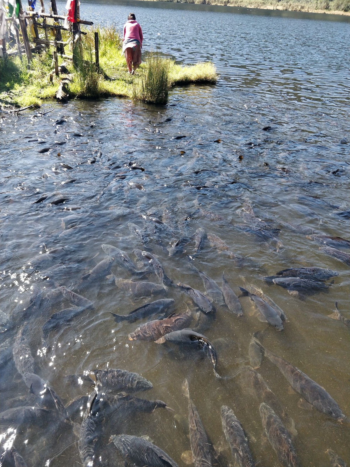 Khecheopalri Village Viewpoint