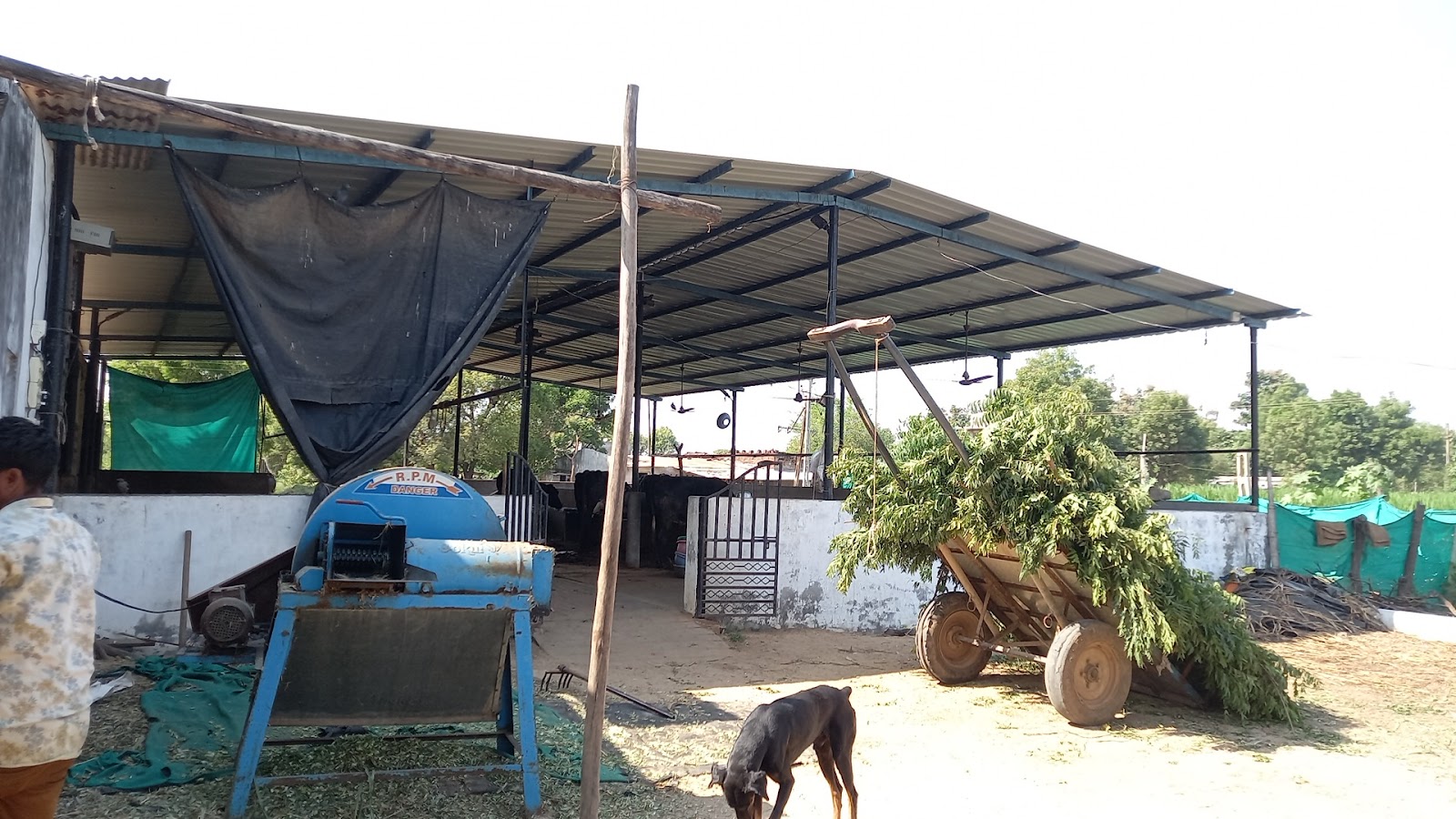 Weekly Farmers Market