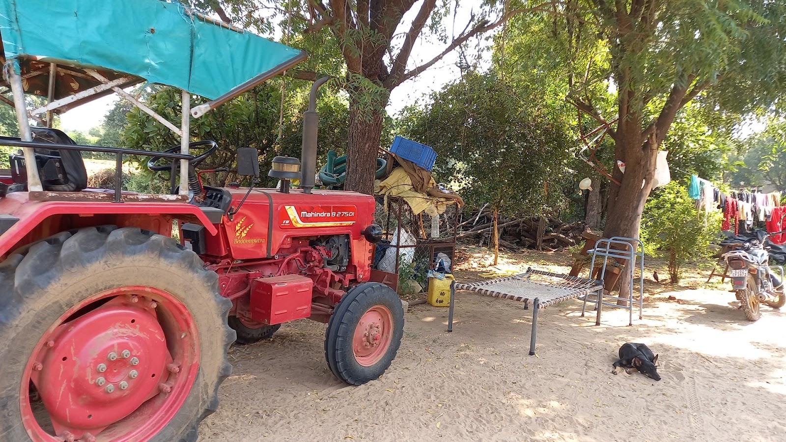 Weekly Farmers Market