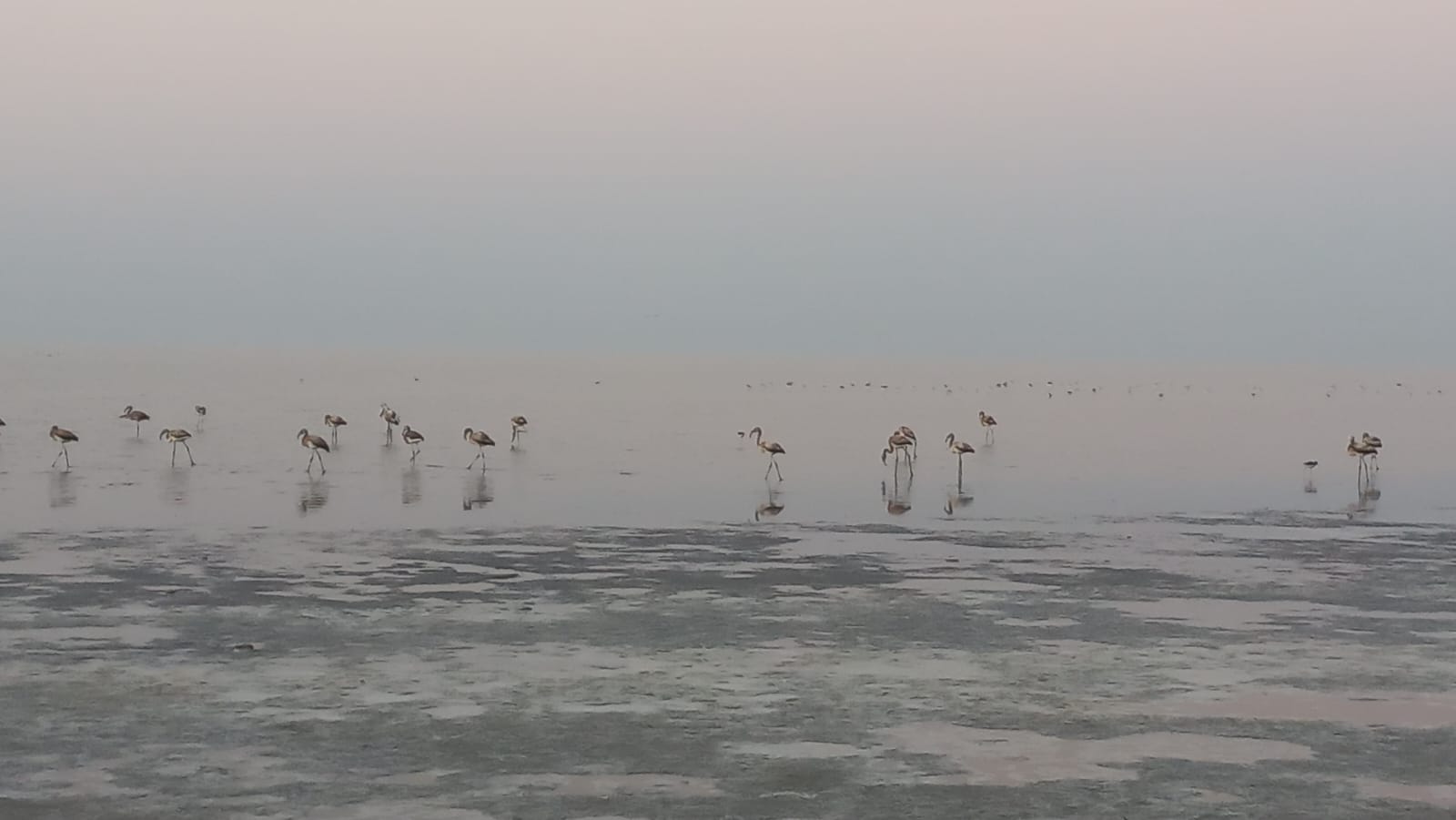 Sunset Viewpoint Near Kheralu