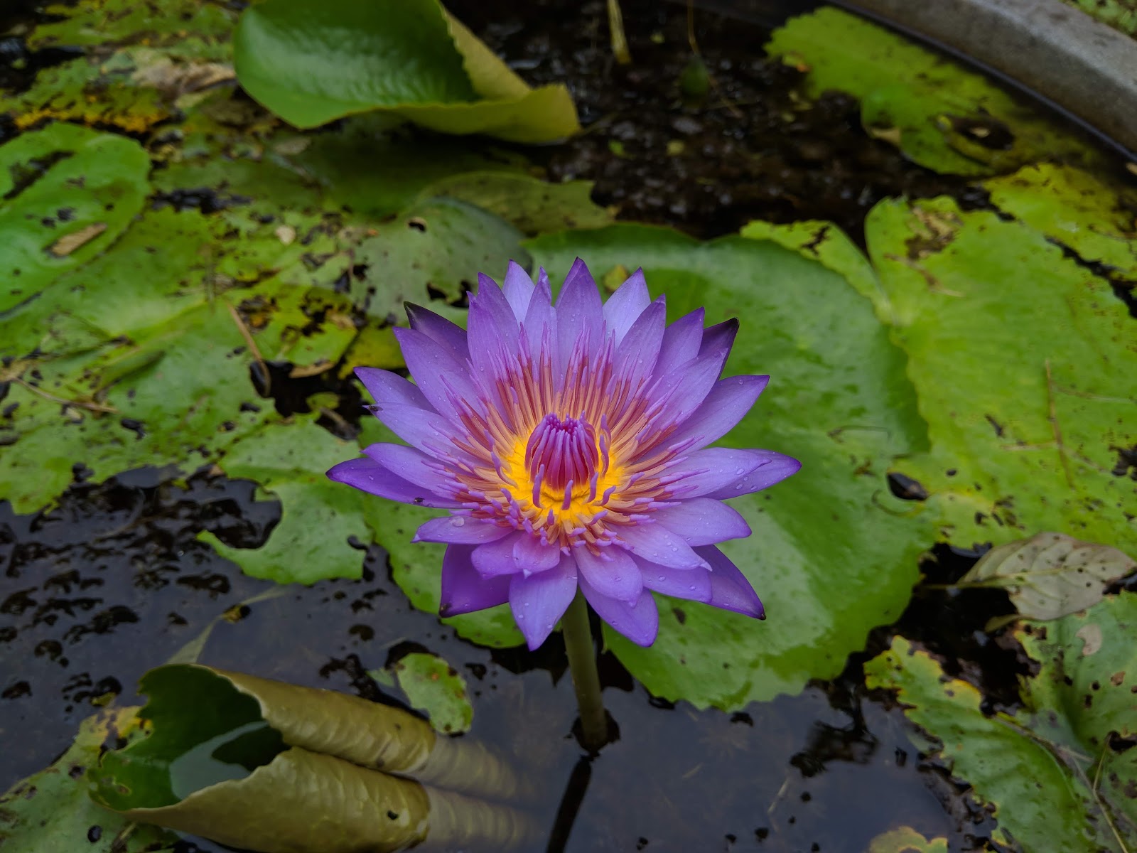 Maharashtra Nature Park