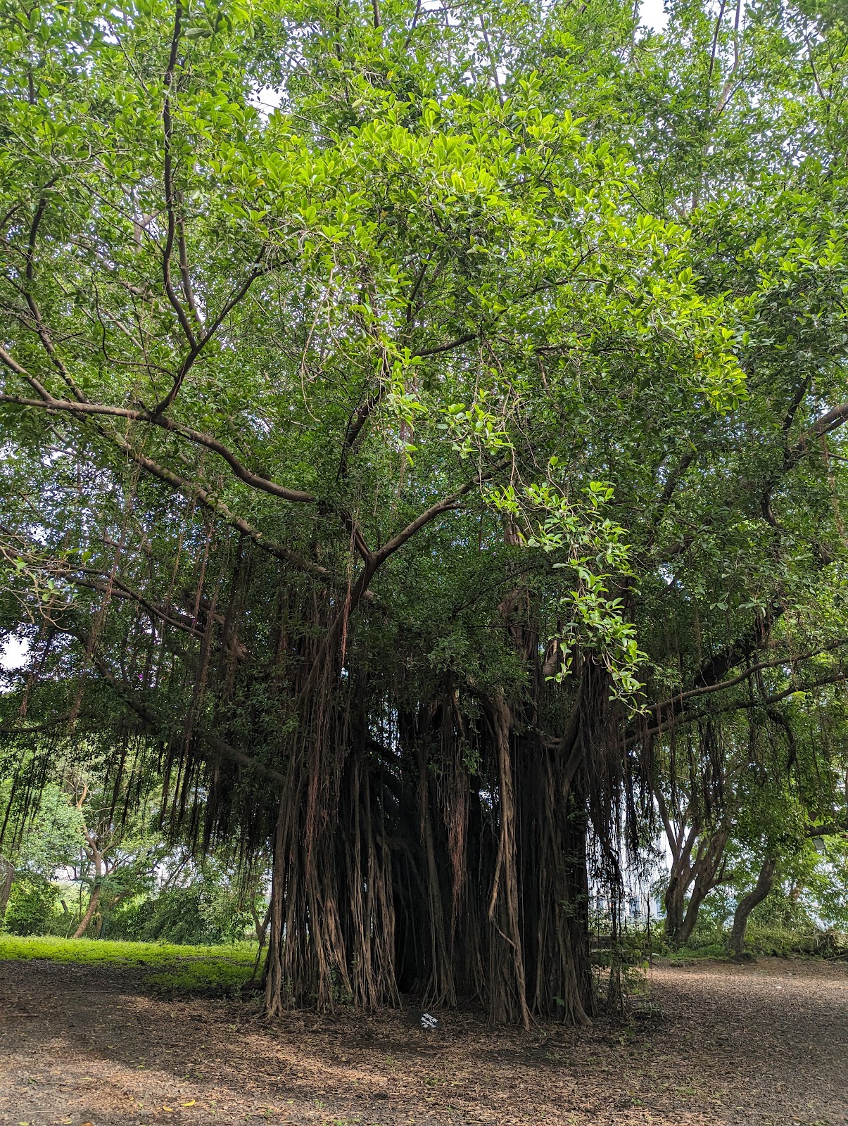 Maharashtra Nature Park