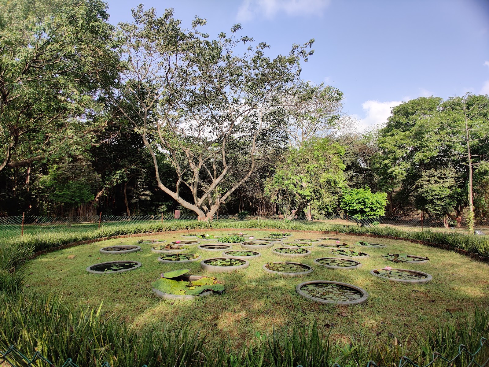 Maharashtra Nature Park