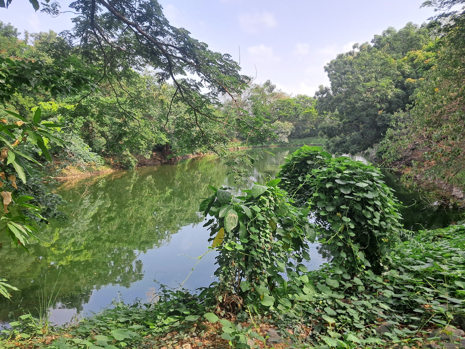 Maharashtra Nature Park