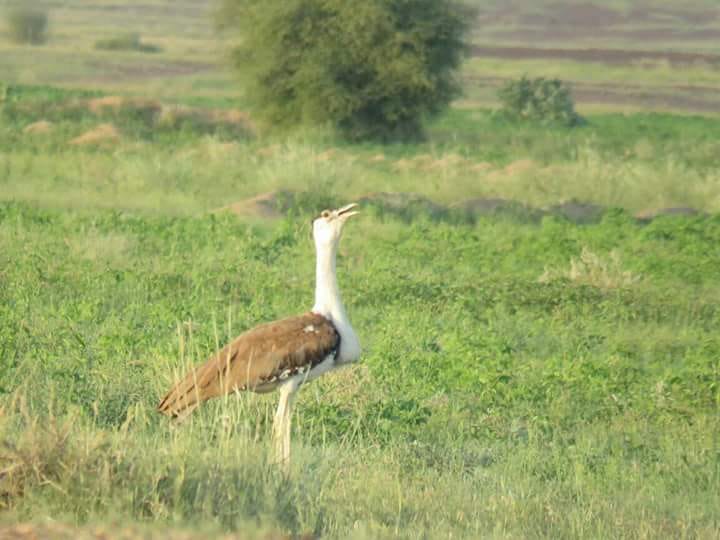 Desert National Park