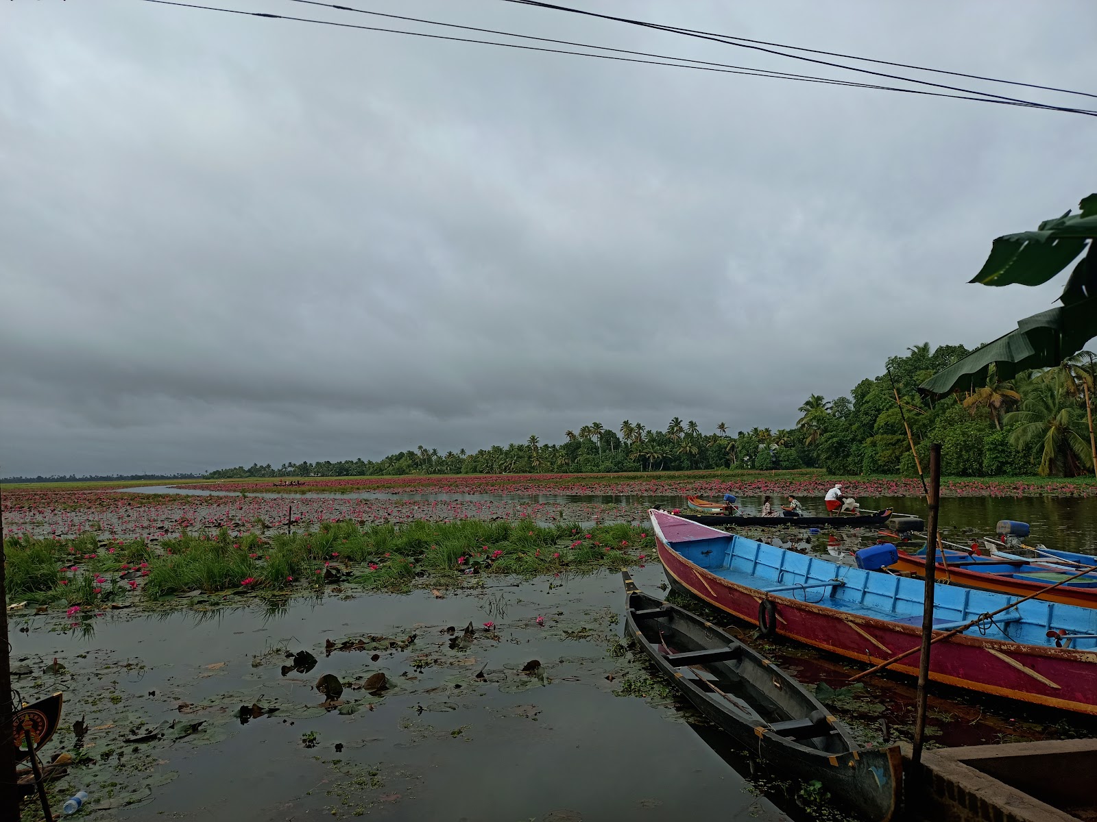 Kottayam Lake