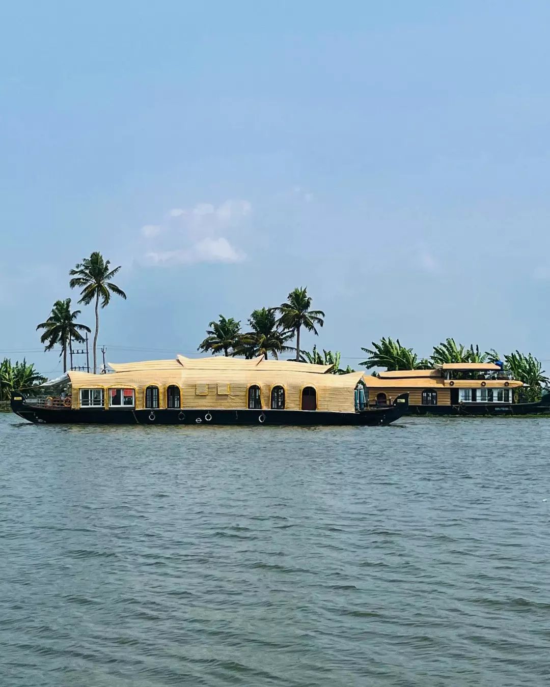 Kumarakom Backwaters