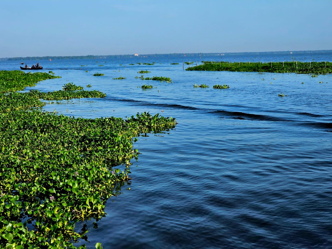 Kumarakom Backwaters