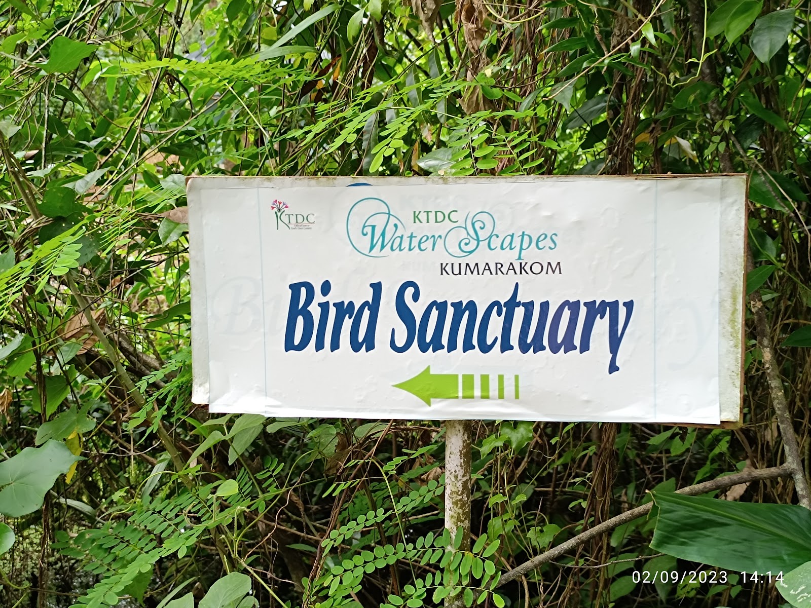 Kumarakom Bird Sanctuary