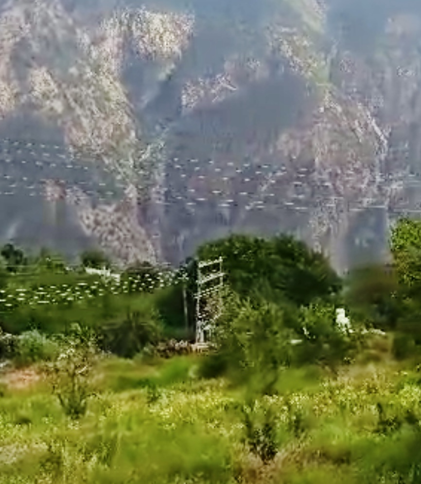 Kalpa Village and Apple Orchards