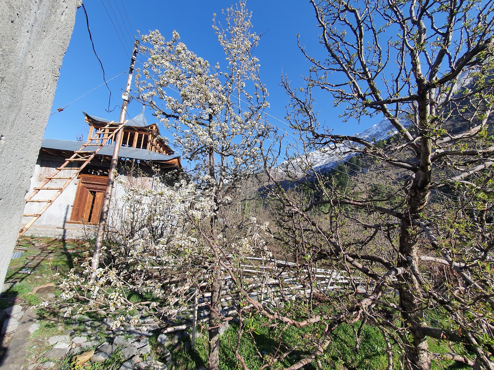 Sangla Valley