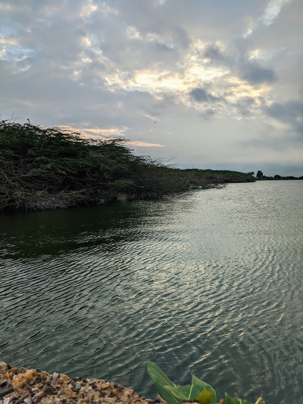 Kishangarh Lake