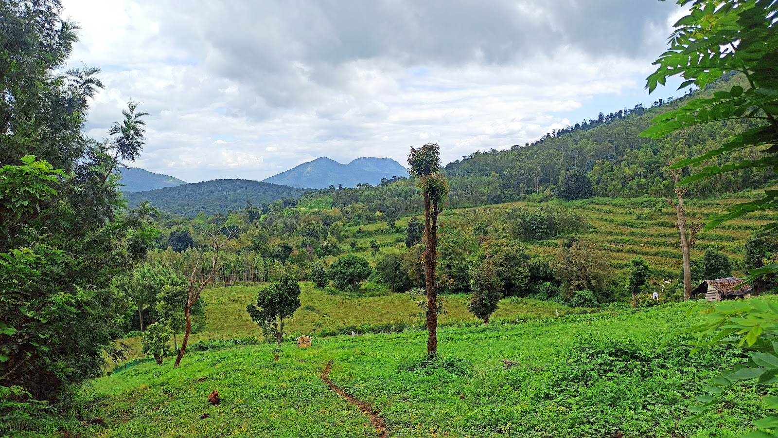Chikkamagaluru