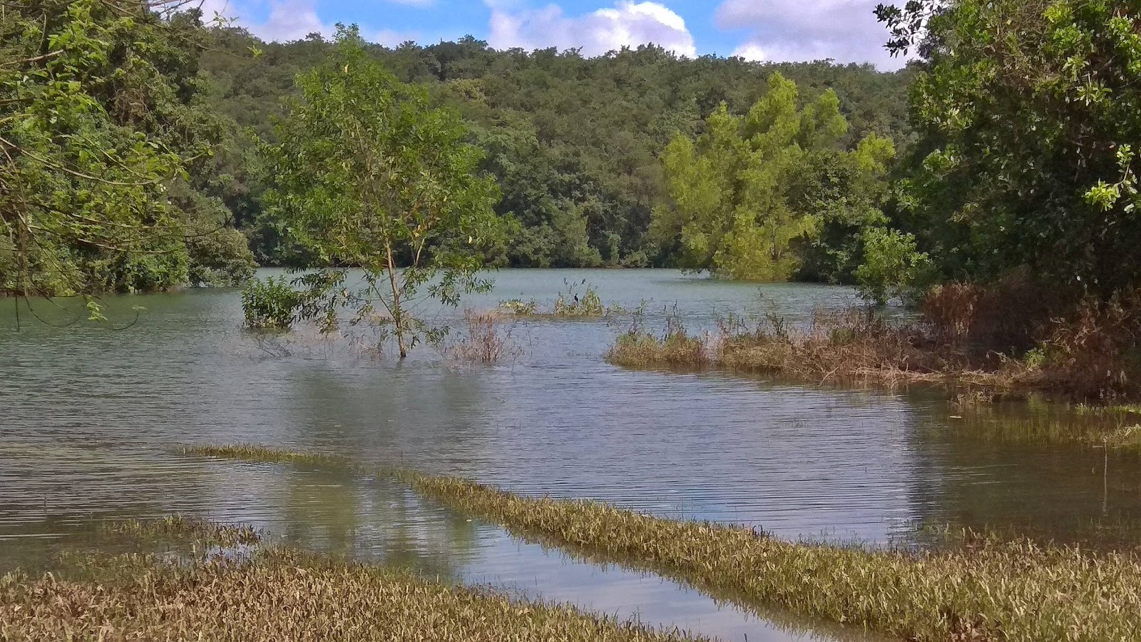 Sharavati River