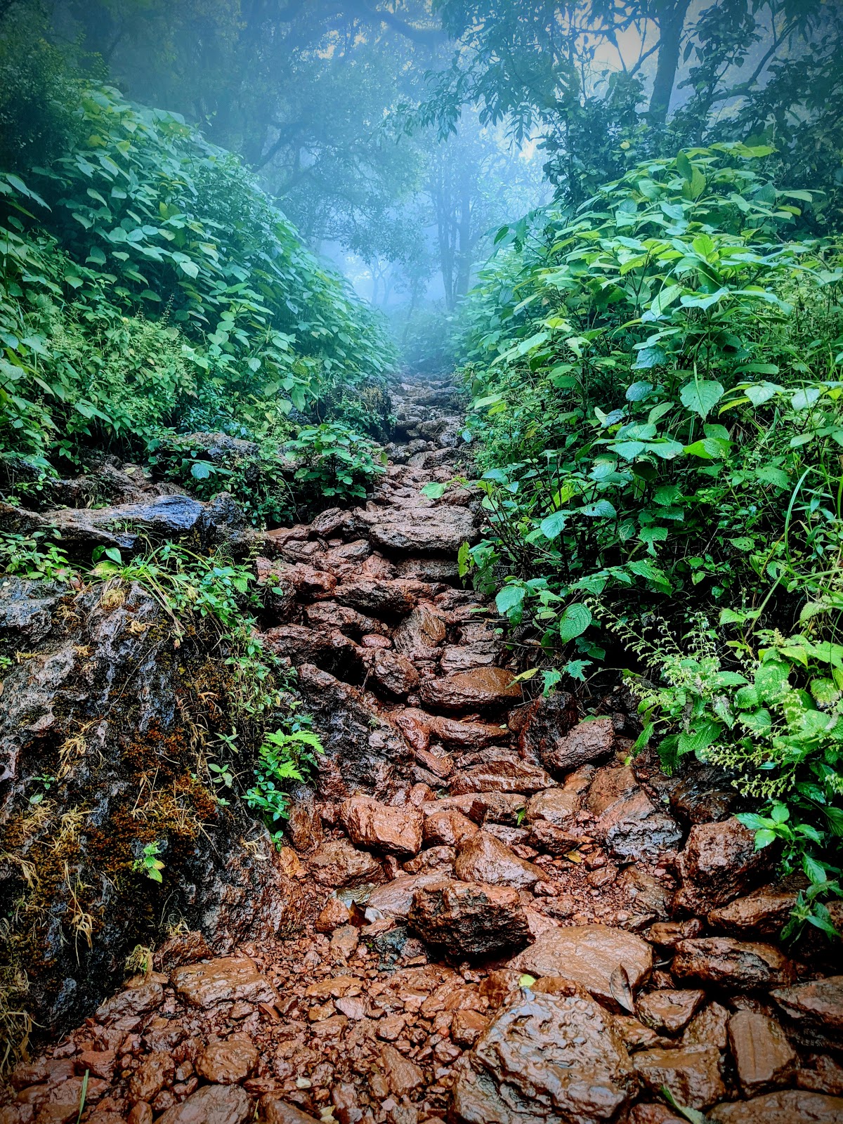 Agumbe