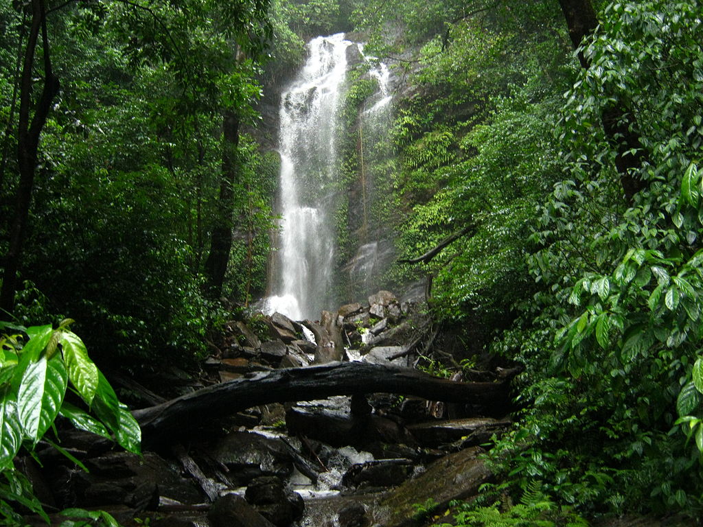 Agumbe