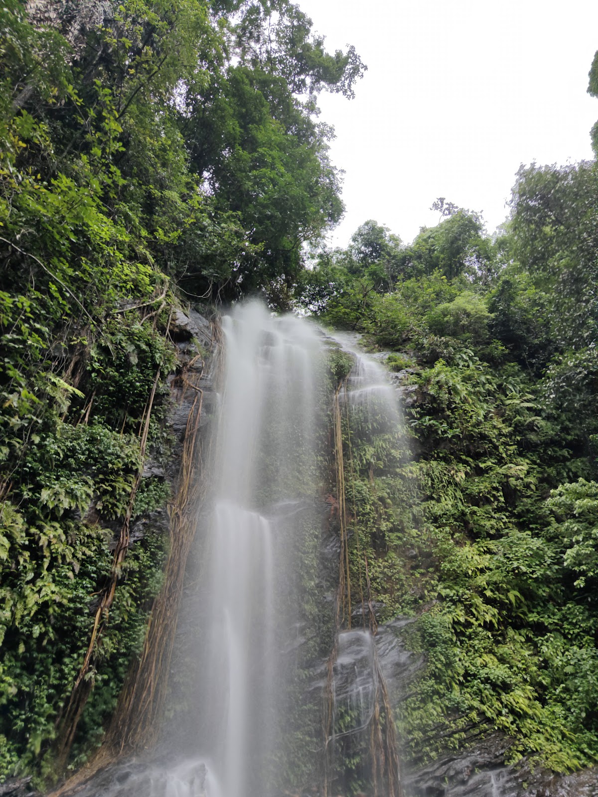 Agumbe