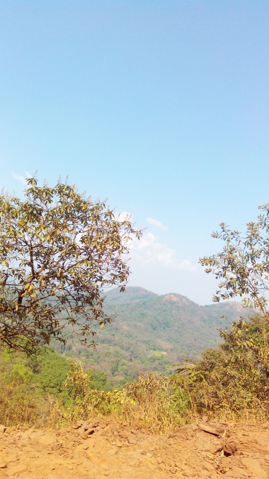 Kodachadri Peak