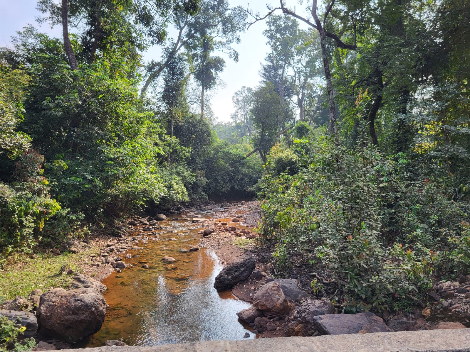 Kodachadri Peak