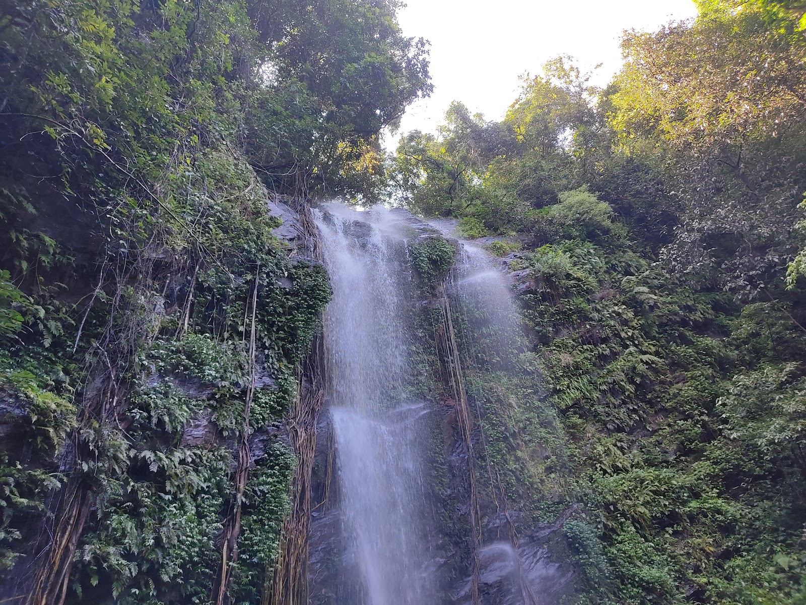 Kodachadri Peak