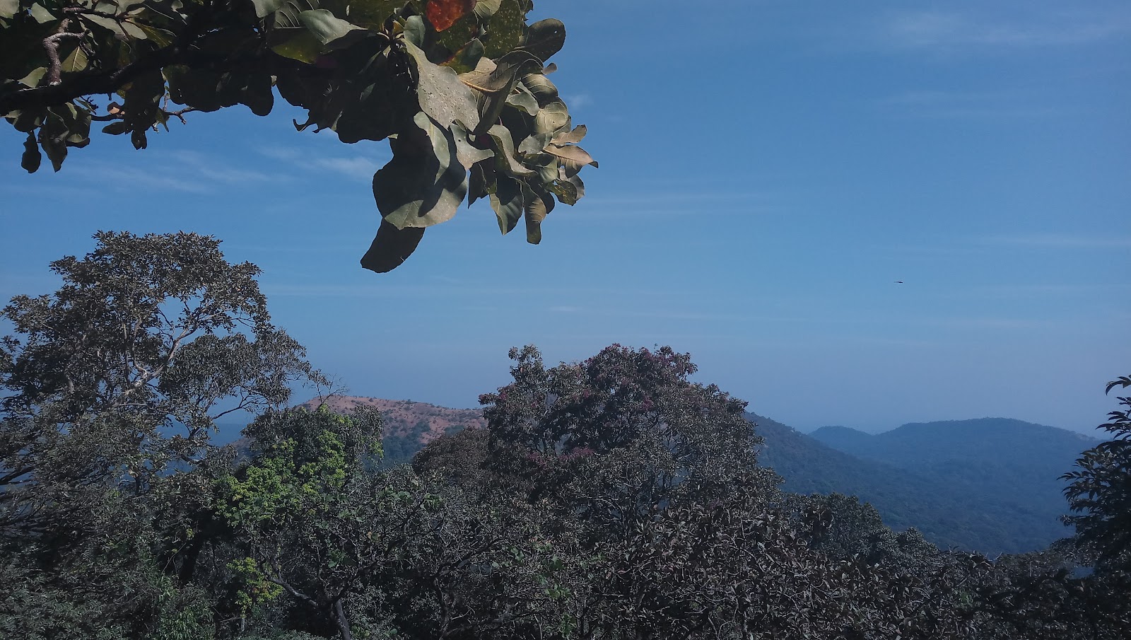 Kollur