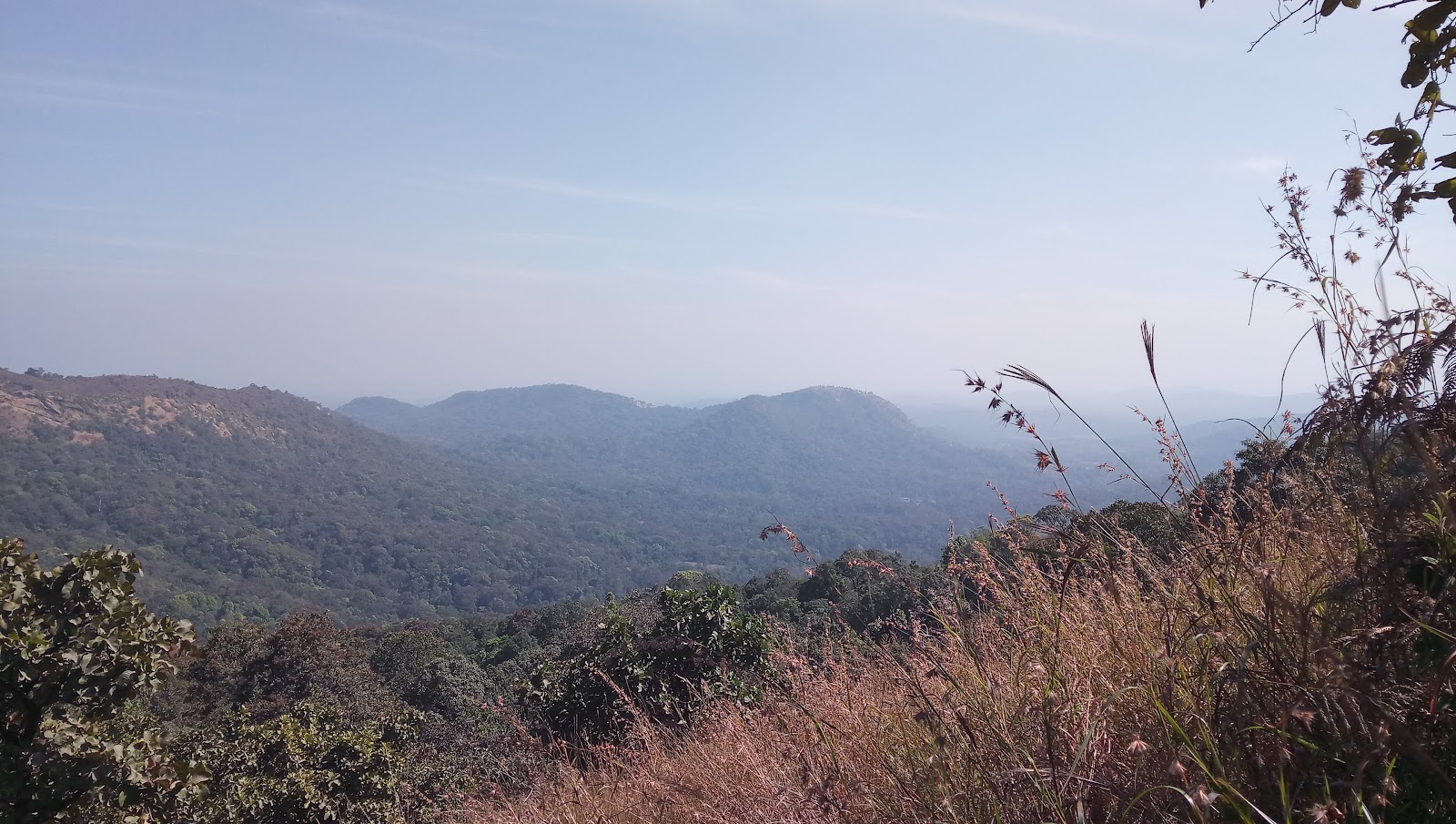 Kollur