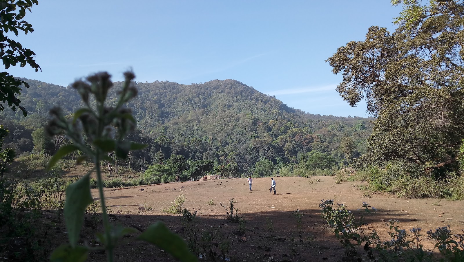 Kollur