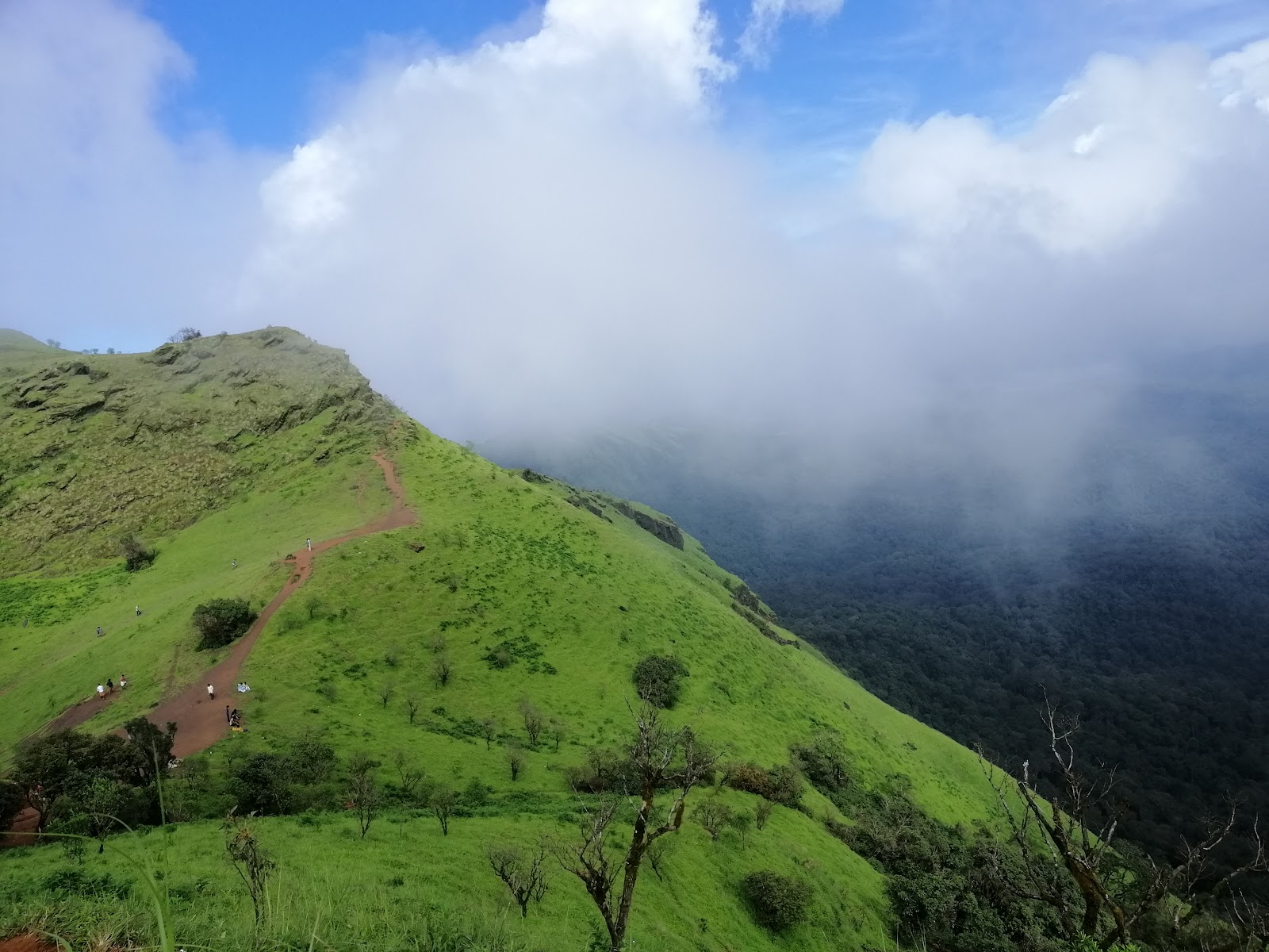 Mookambika Wildlife Sanctuary