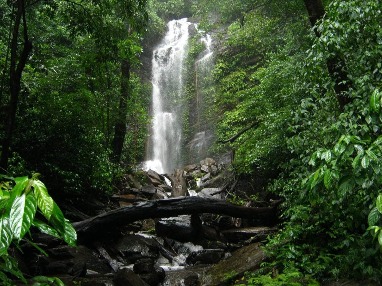 Mookambika Wildlife Sanctuary