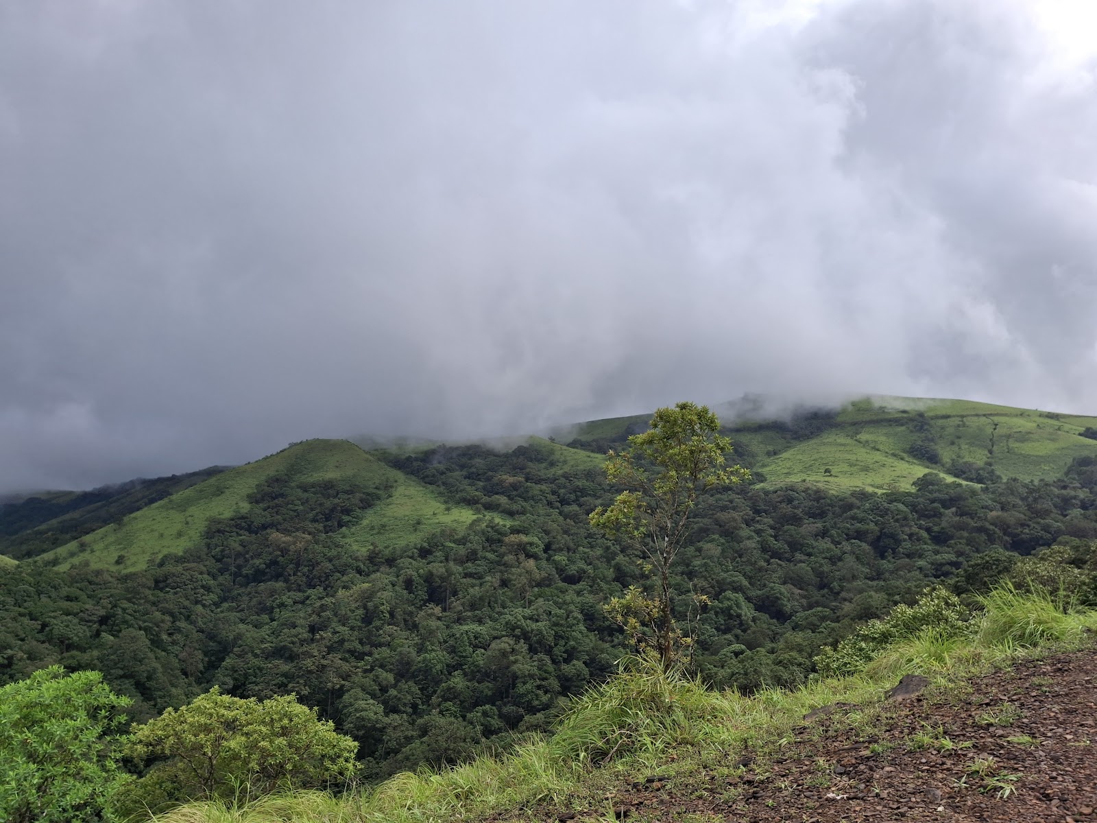 Mookambika Wildlife Sanctuary