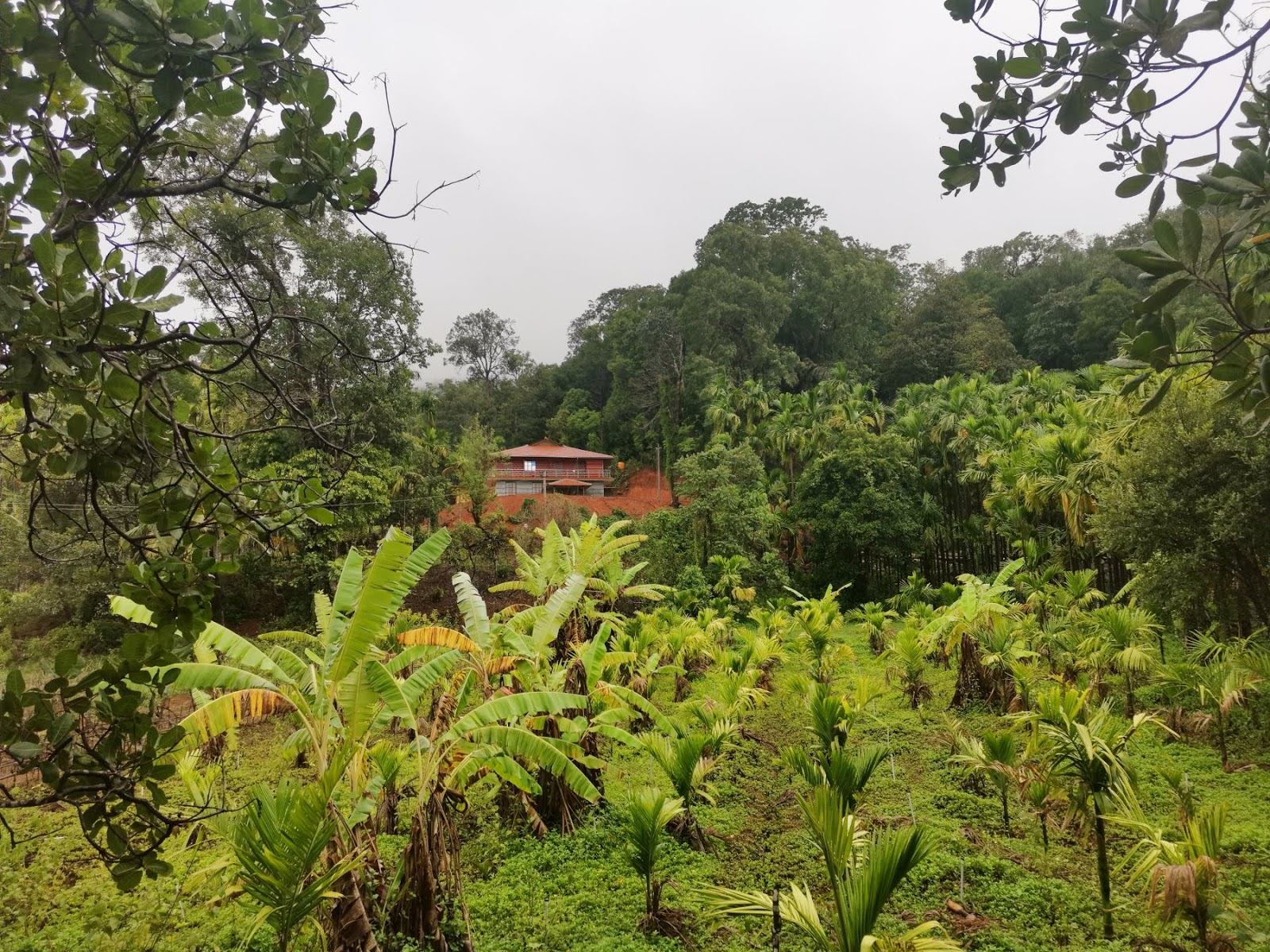 Sakleshpur