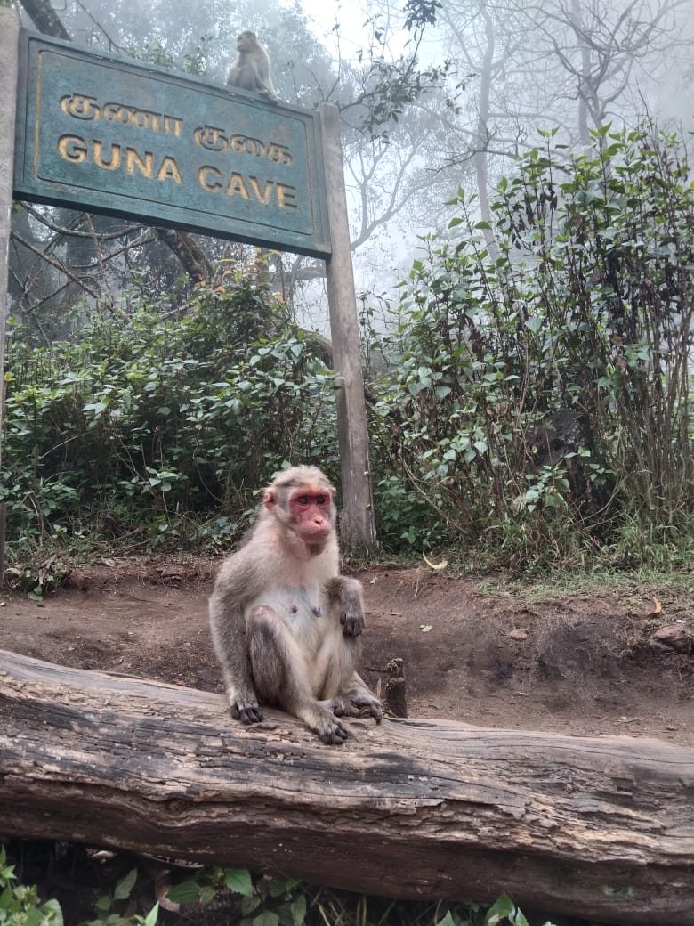 Guna Caves
