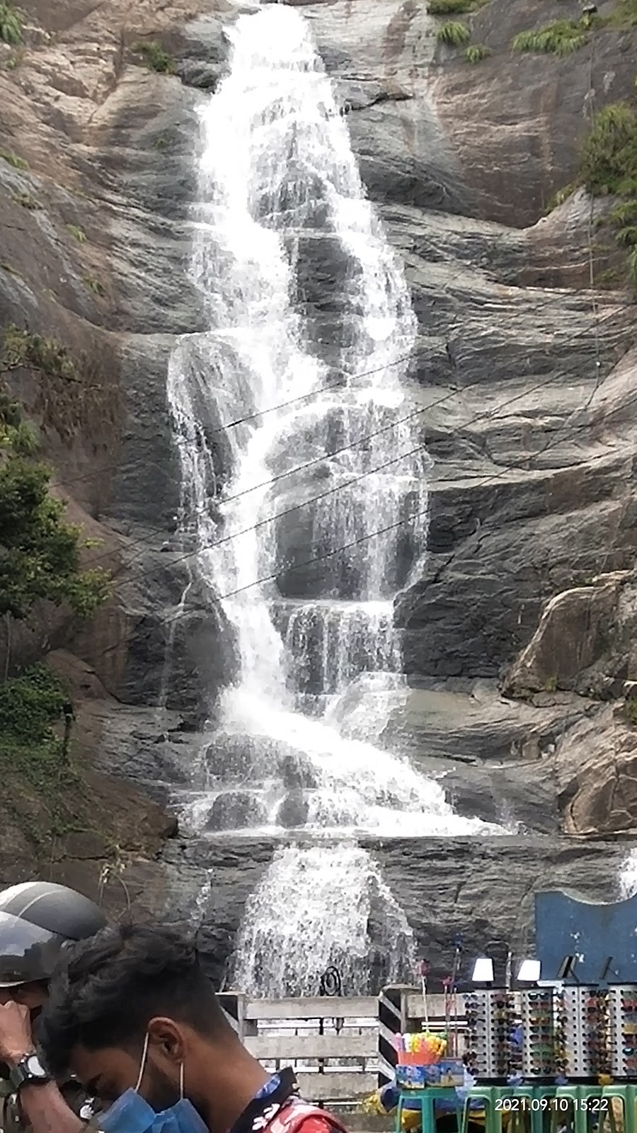 Kodaikanal Pine Forest