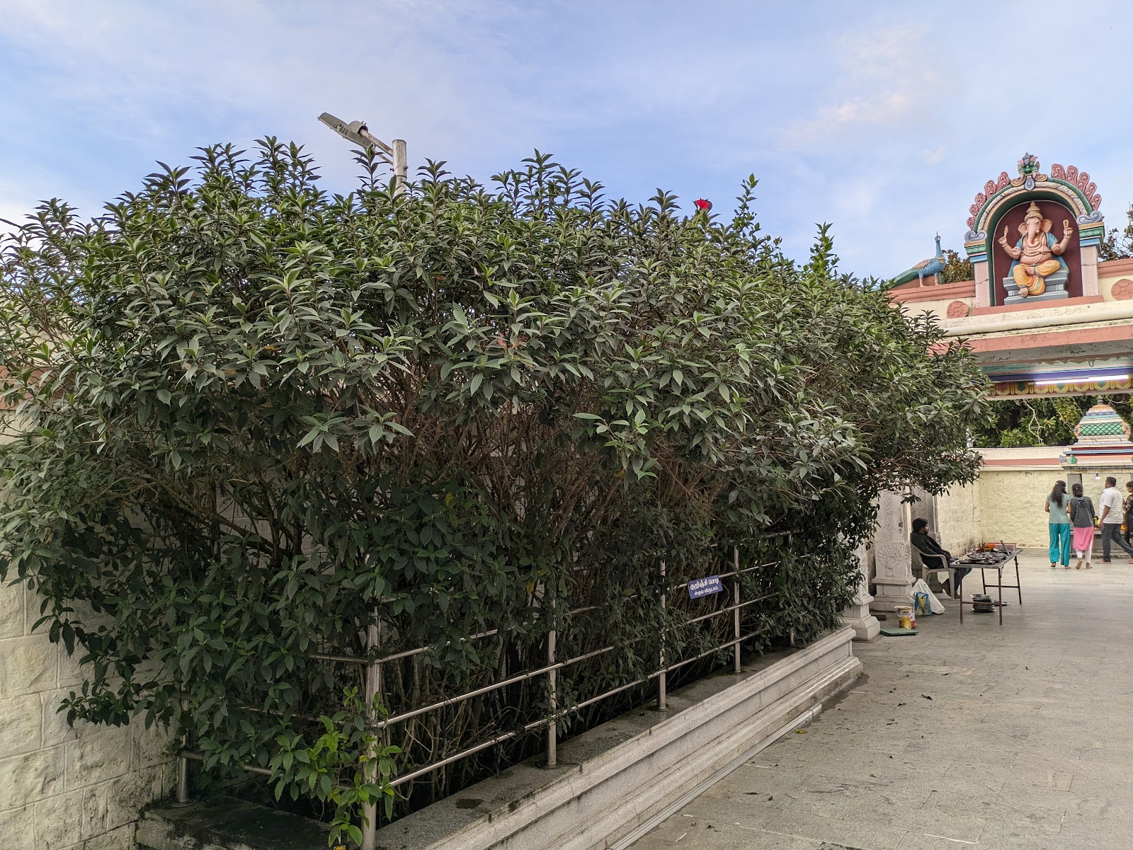 Kurinji Andavar Temple