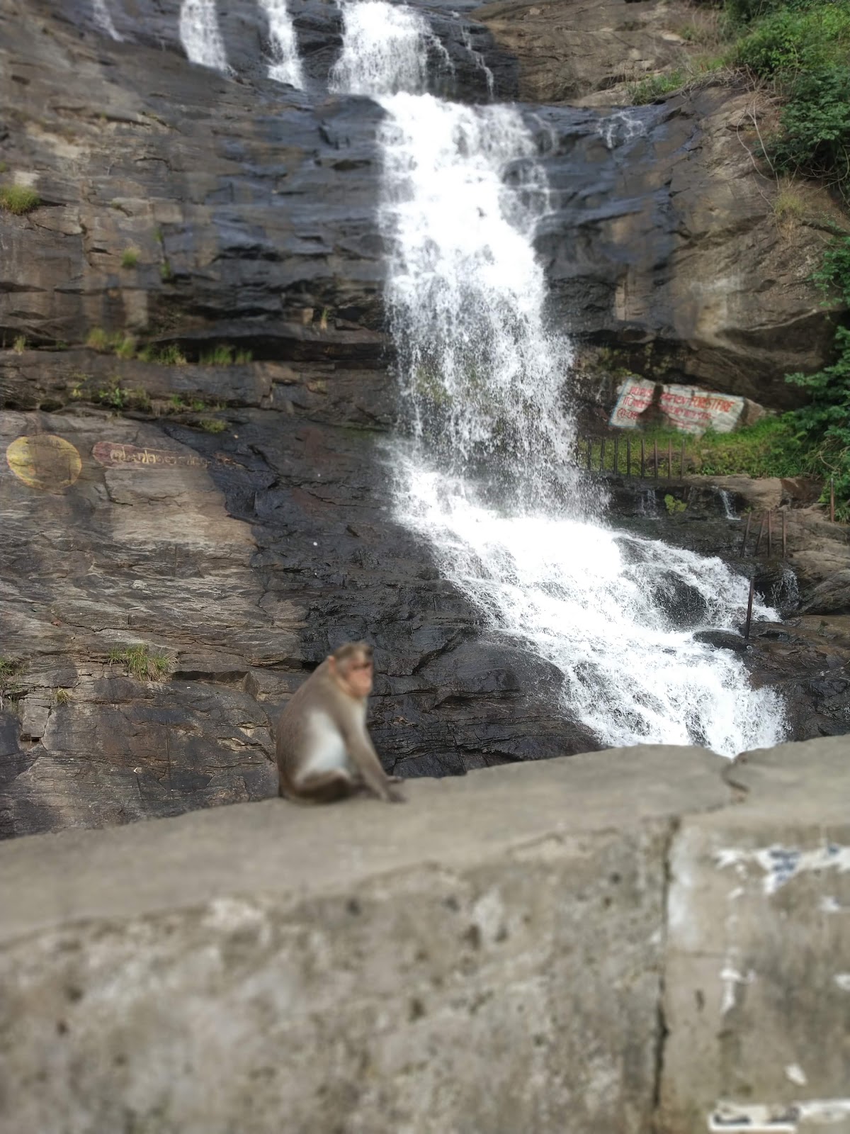 Cheeyappara Waterfalls